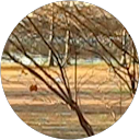David S profile picture